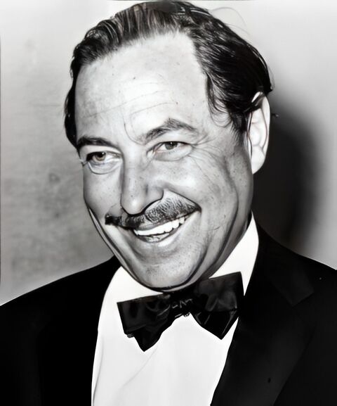 Трамвай «Желание» · Краткое содержание пьесы Уильямса