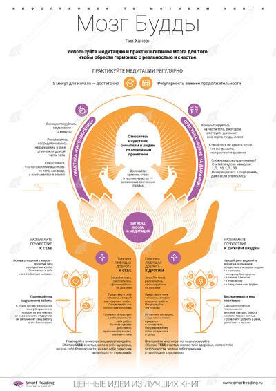 Инфографика для книги «Мозг Будды»